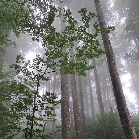 Dom wakacyjny Tiny House For 2 Bakar Hreljin